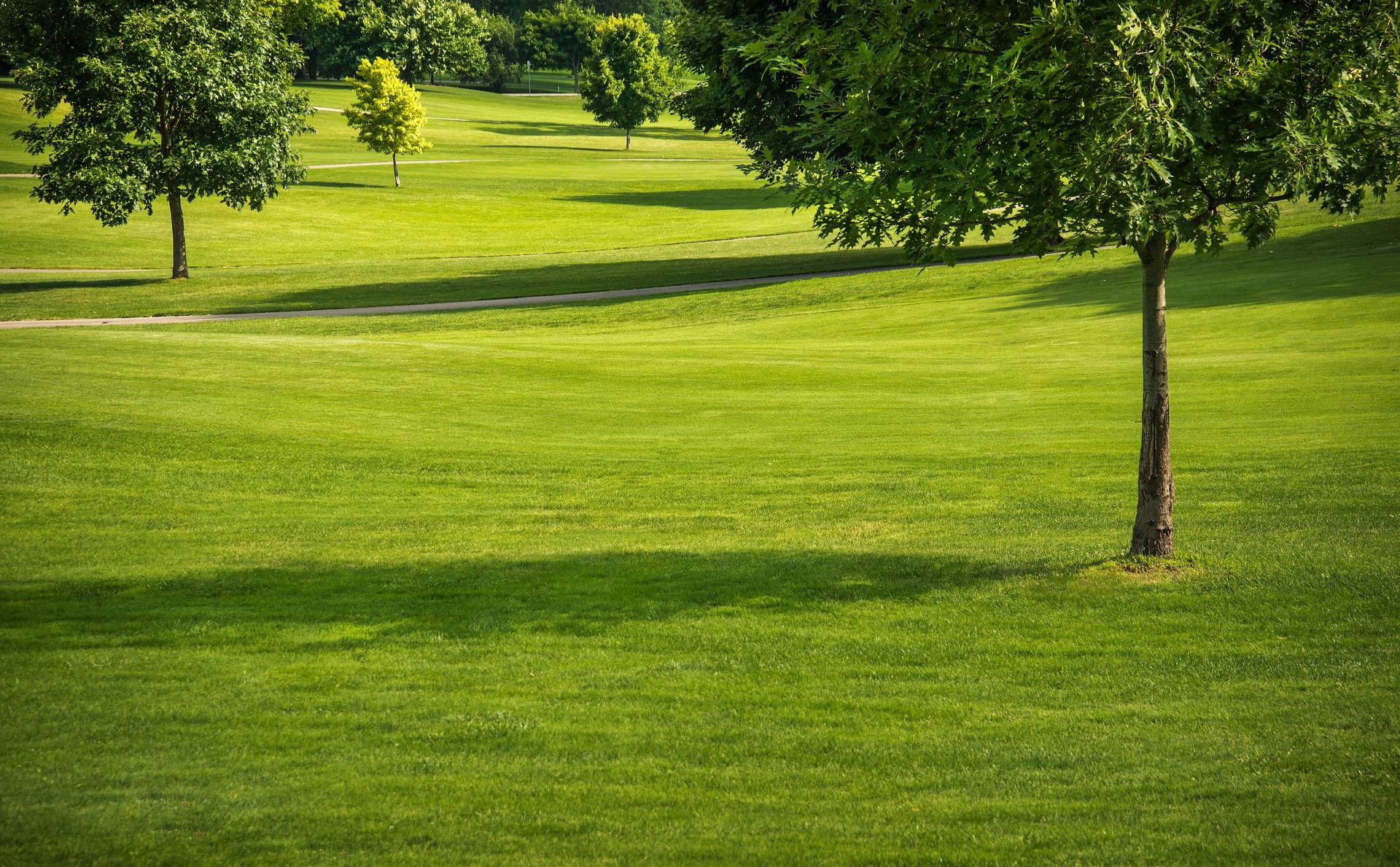 Spring Summer Lawncare